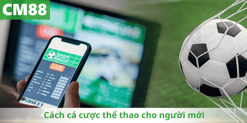Cách cá cược thể thao cho người mới